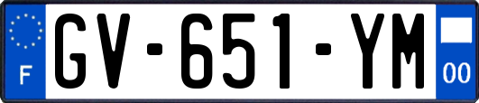 GV-651-YM