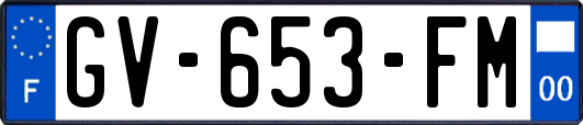 GV-653-FM