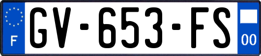 GV-653-FS
