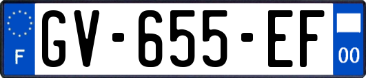 GV-655-EF