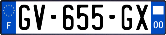GV-655-GX