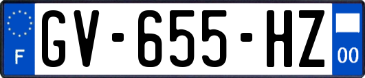 GV-655-HZ