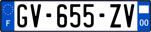 GV-655-ZV