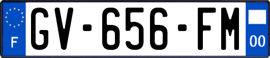 GV-656-FM