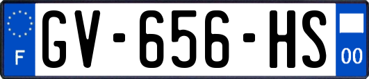 GV-656-HS