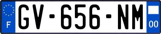 GV-656-NM
