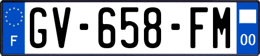 GV-658-FM