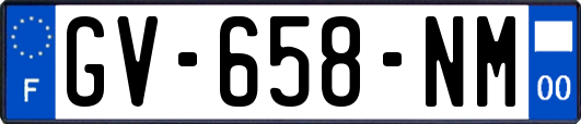 GV-658-NM