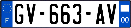 GV-663-AV