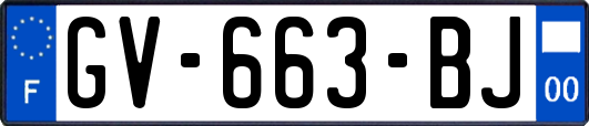 GV-663-BJ