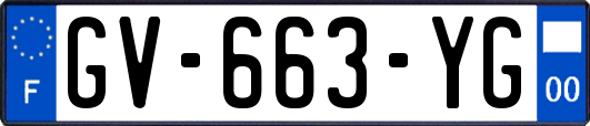 GV-663-YG