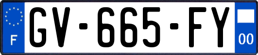 GV-665-FY