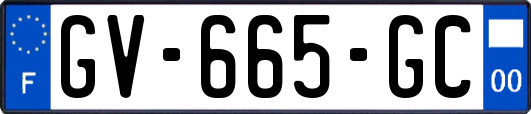 GV-665-GC
