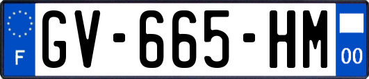 GV-665-HM