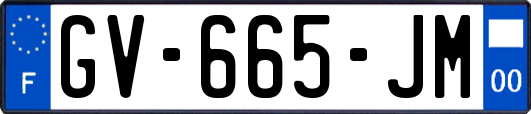 GV-665-JM