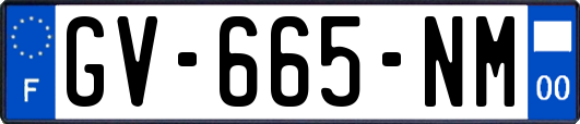 GV-665-NM