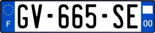 GV-665-SE
