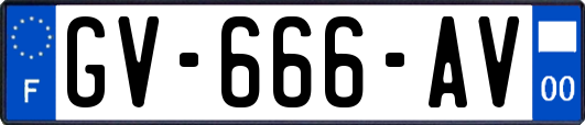 GV-666-AV