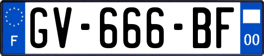 GV-666-BF