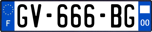 GV-666-BG