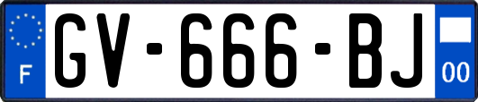 GV-666-BJ