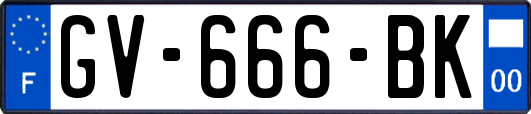 GV-666-BK