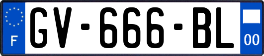GV-666-BL