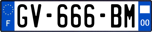 GV-666-BM