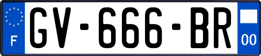 GV-666-BR