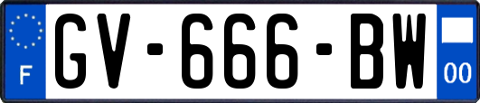 GV-666-BW