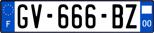 GV-666-BZ