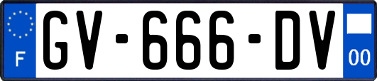 GV-666-DV