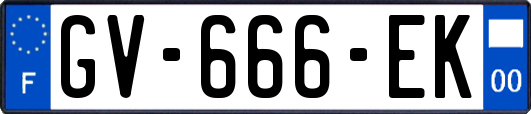 GV-666-EK