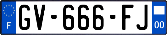 GV-666-FJ