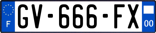 GV-666-FX