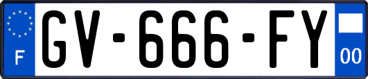 GV-666-FY