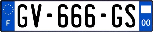 GV-666-GS