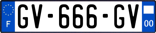 GV-666-GV