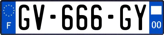 GV-666-GY