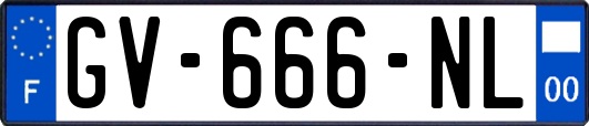 GV-666-NL