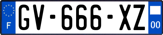 GV-666-XZ