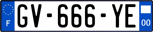 GV-666-YE