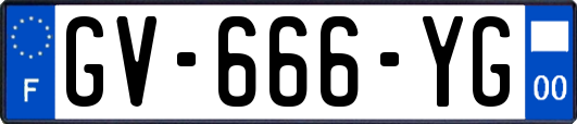 GV-666-YG