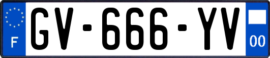 GV-666-YV