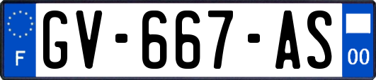 GV-667-AS