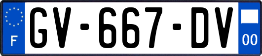 GV-667-DV