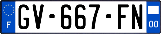 GV-667-FN