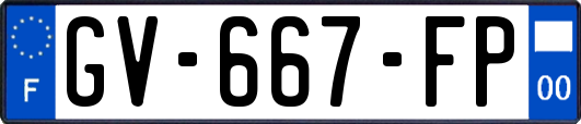 GV-667-FP