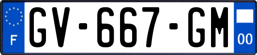 GV-667-GM