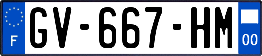 GV-667-HM